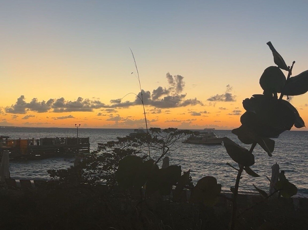 Caribbean Cruisin-普罗维登西亚莱斯必去景点