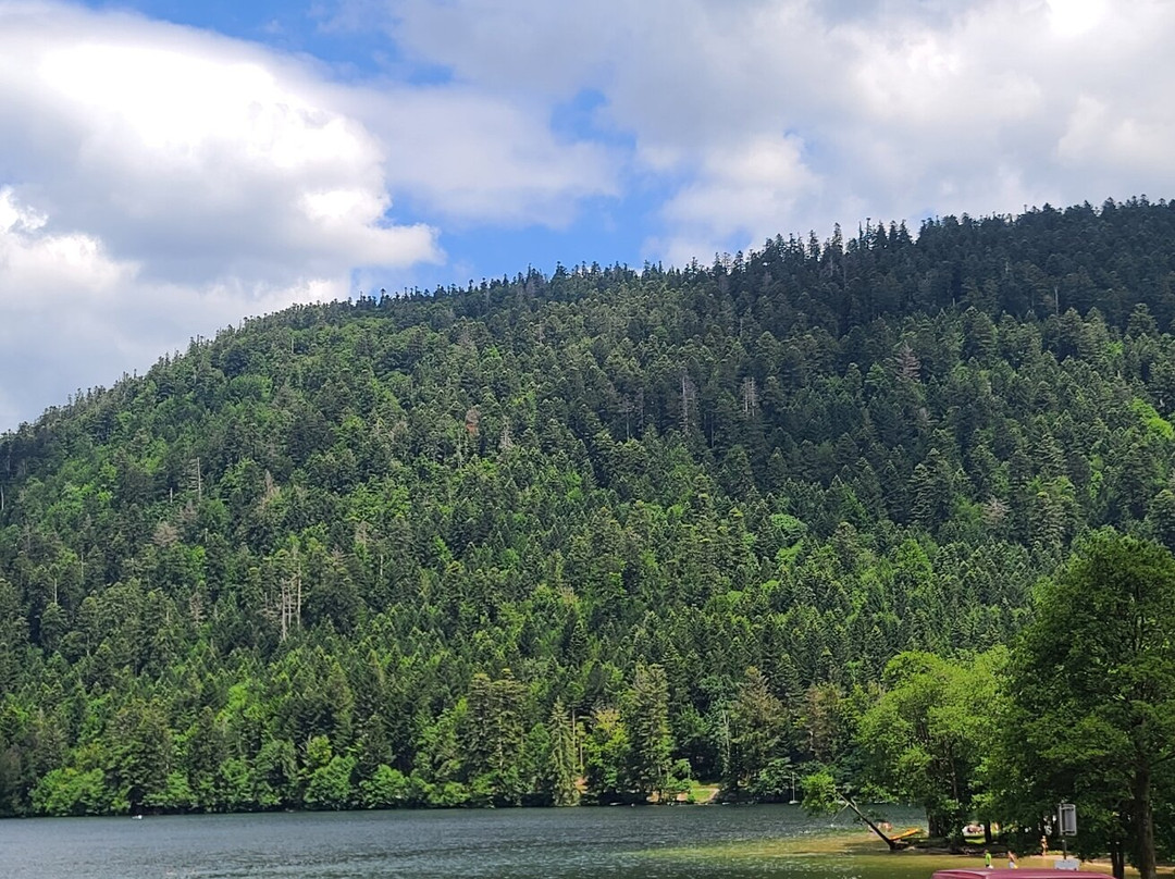 Camping Du Lac