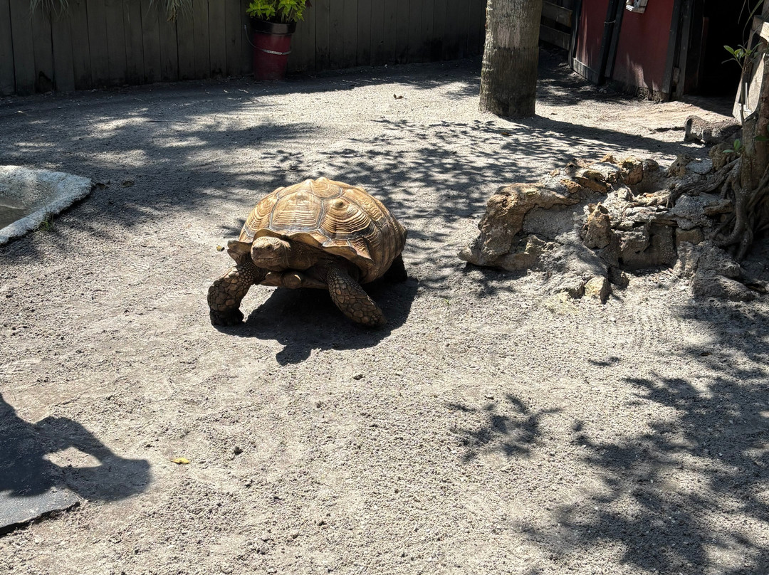 Gatorama-Palmdale必去景点