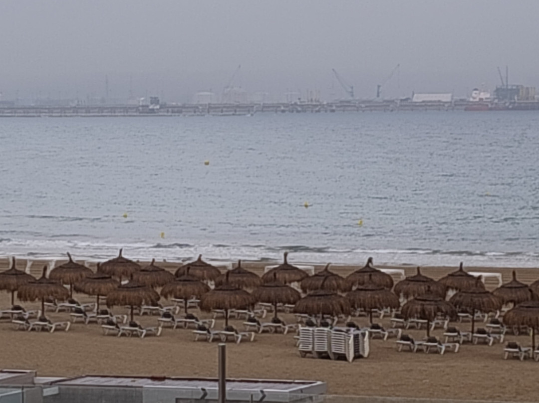 Golden Donaire Beach主图