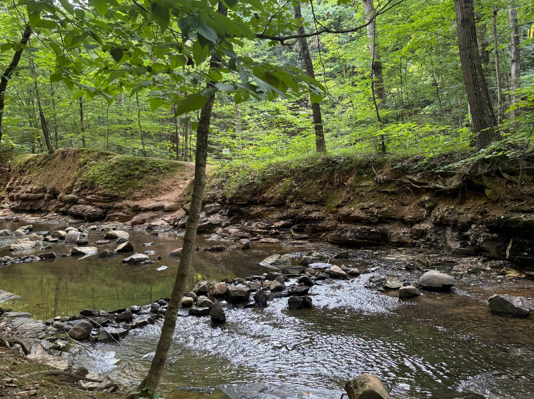 Shale Hollow Park-Lewis Center必去景点