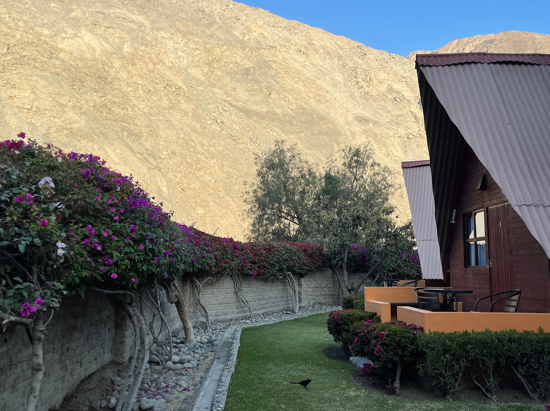 La Confianza Hotel主图