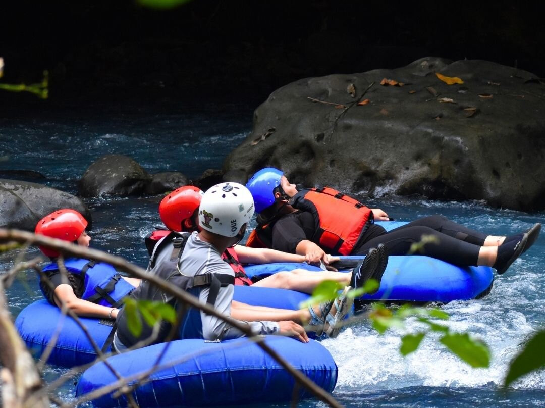 Bijagua Rainforest - Tours-Bijagua de Upala必去景点