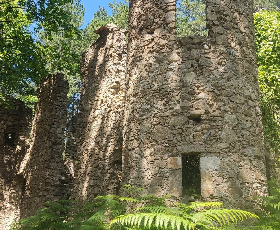 Parco Naturale Regionale delle Serre-Serra San Bruno必去景点