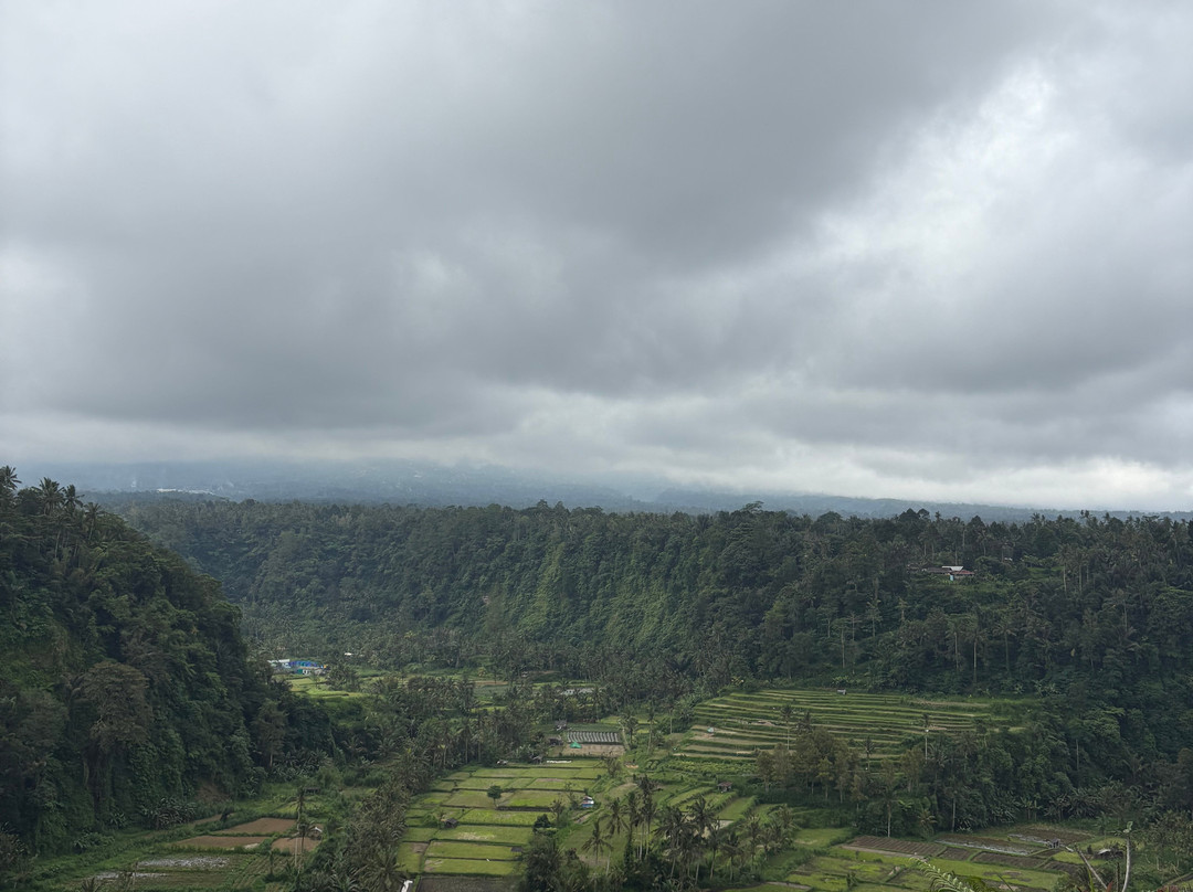 Bali Excelente Tour-登巴萨必去景点