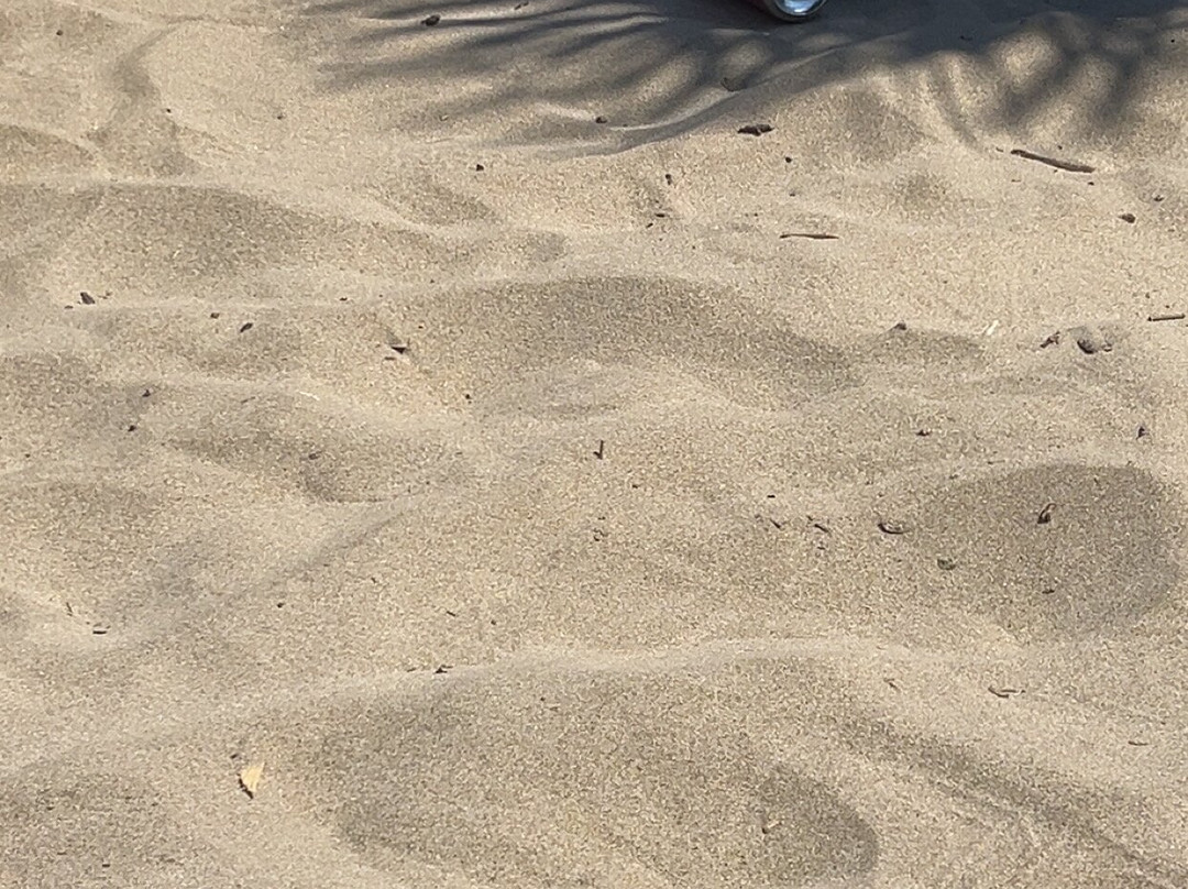 Mosquito Beach-Marseillan Plage必去景点