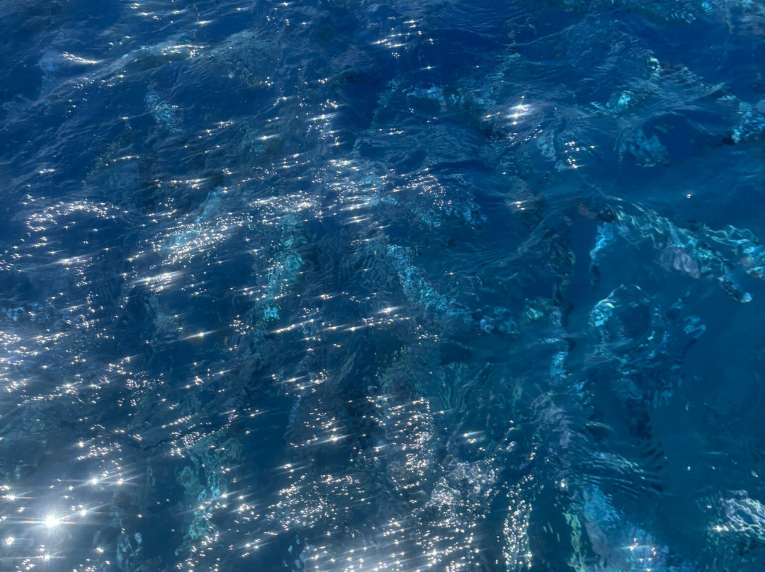 Sicily By Boat-Santa Flavia必去景点