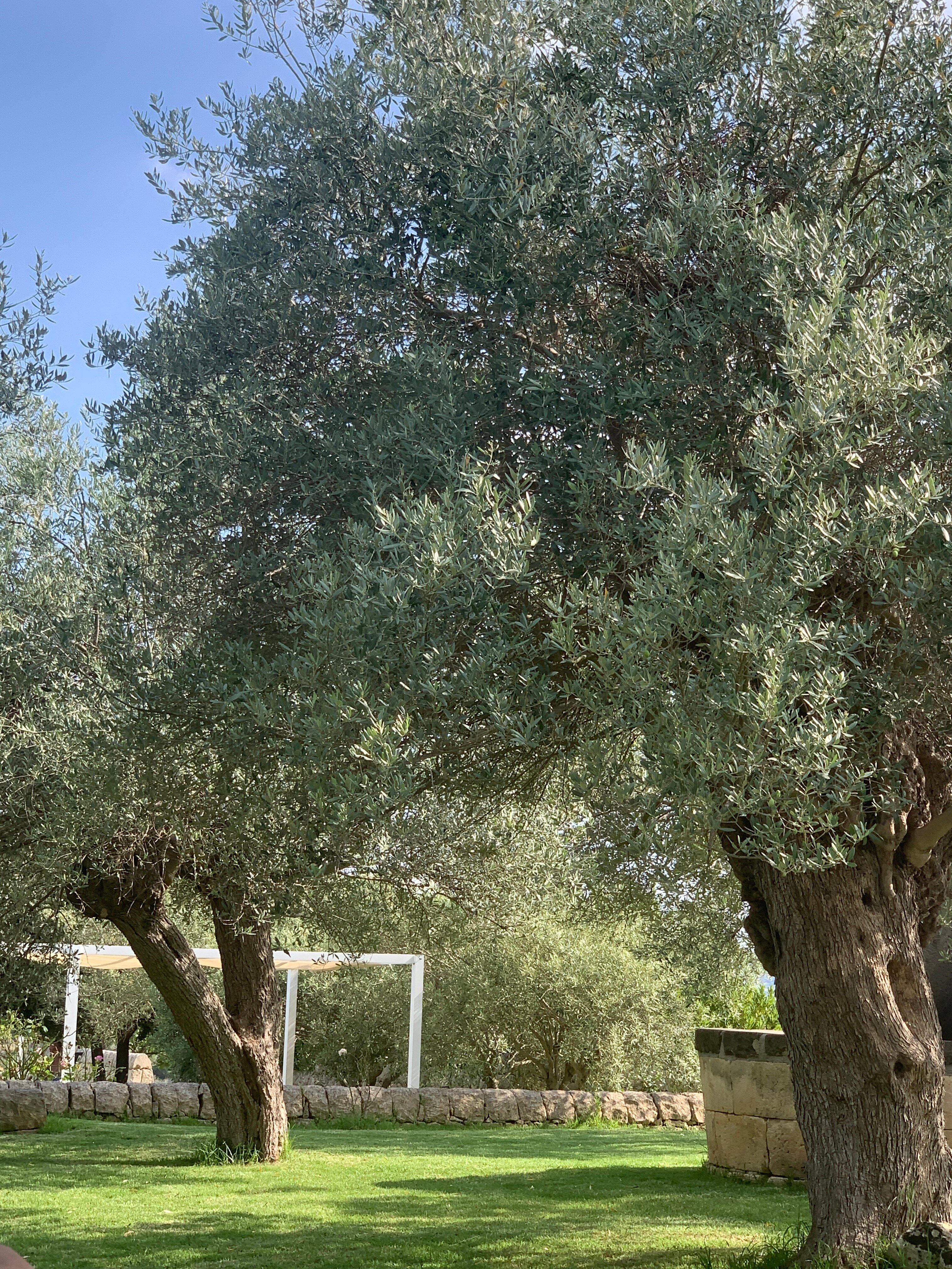Agriturismo La Mela di Venere-官方