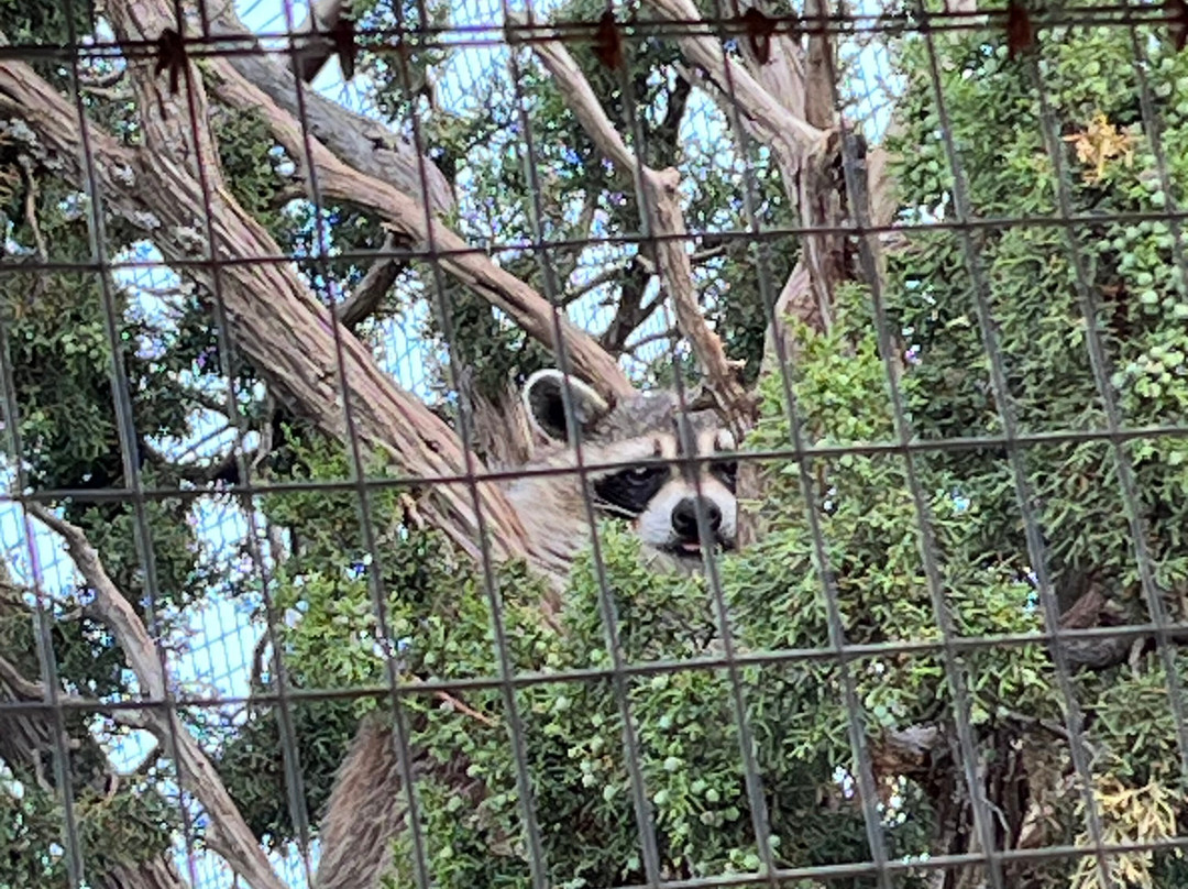 Wildlife West Nature Park-Edgewood必去景点