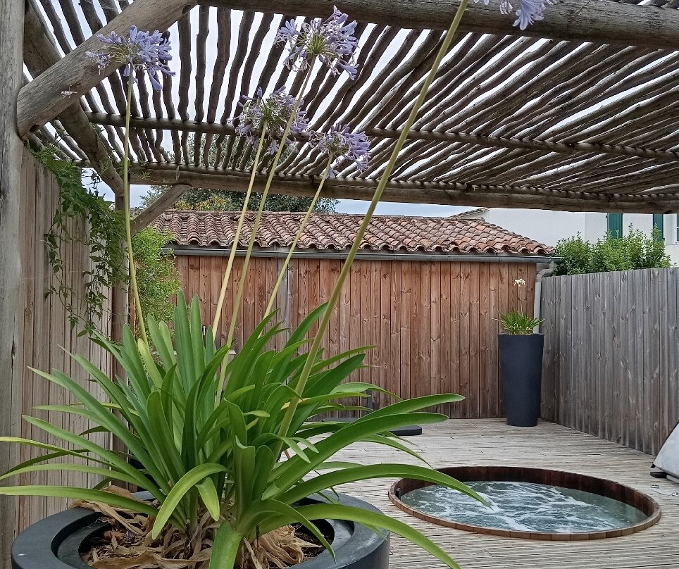 Flower Camping Le Bel Air主图