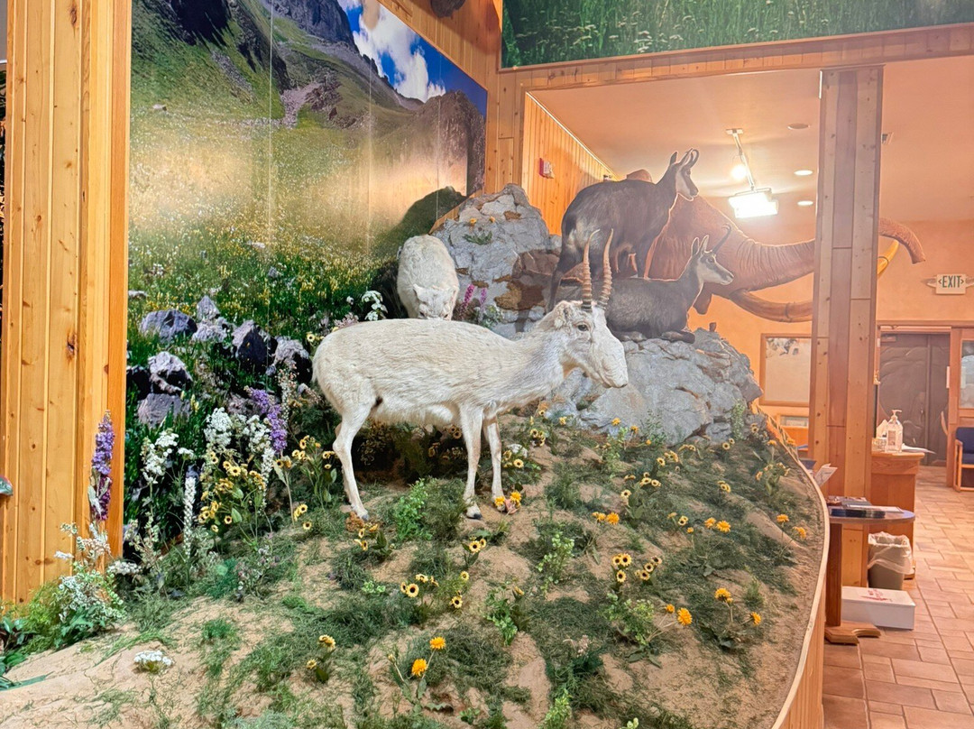 B-Square Ranch-法明顿必去景点