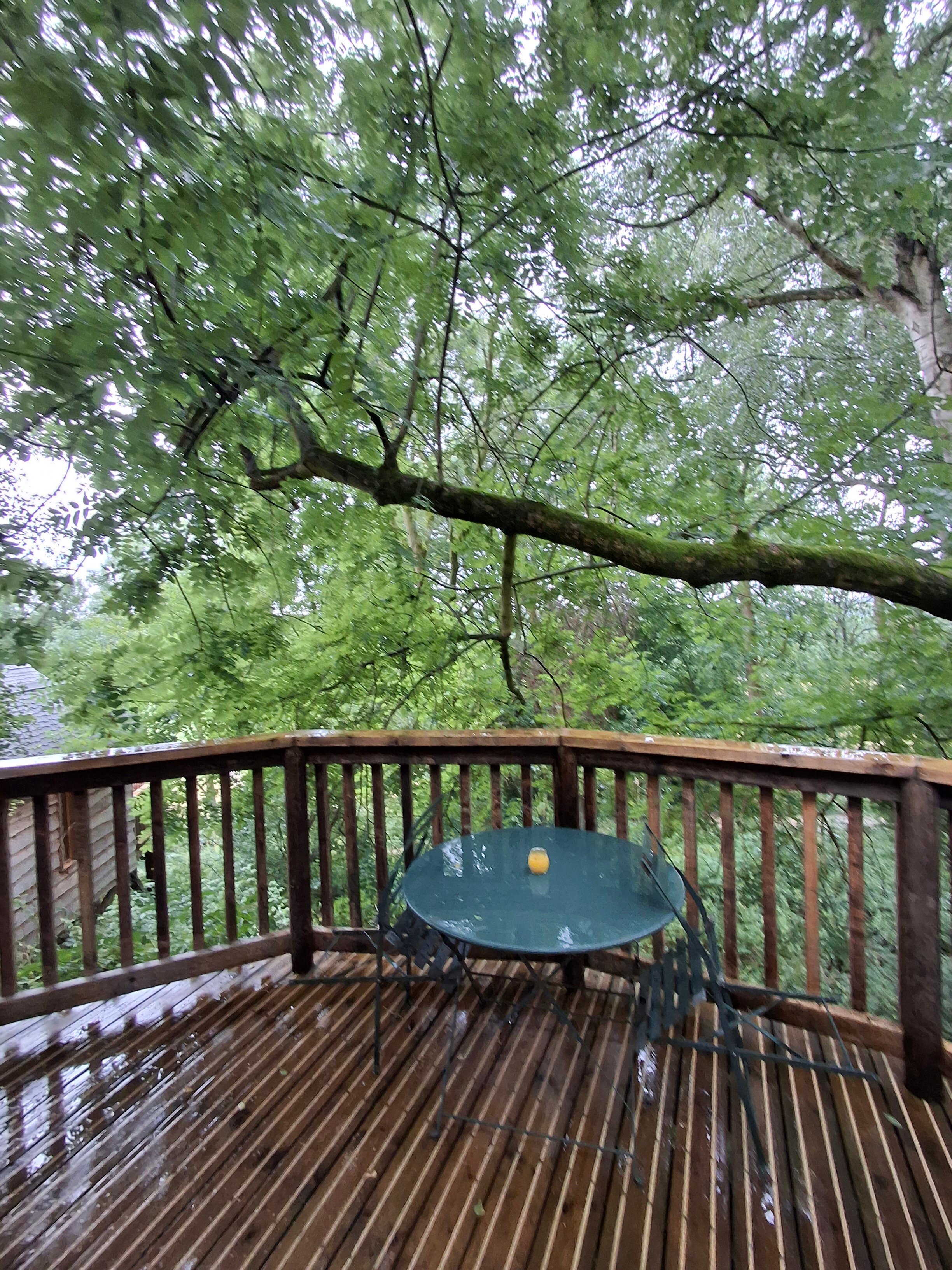 Wildhive Callow Hall-酒店景观