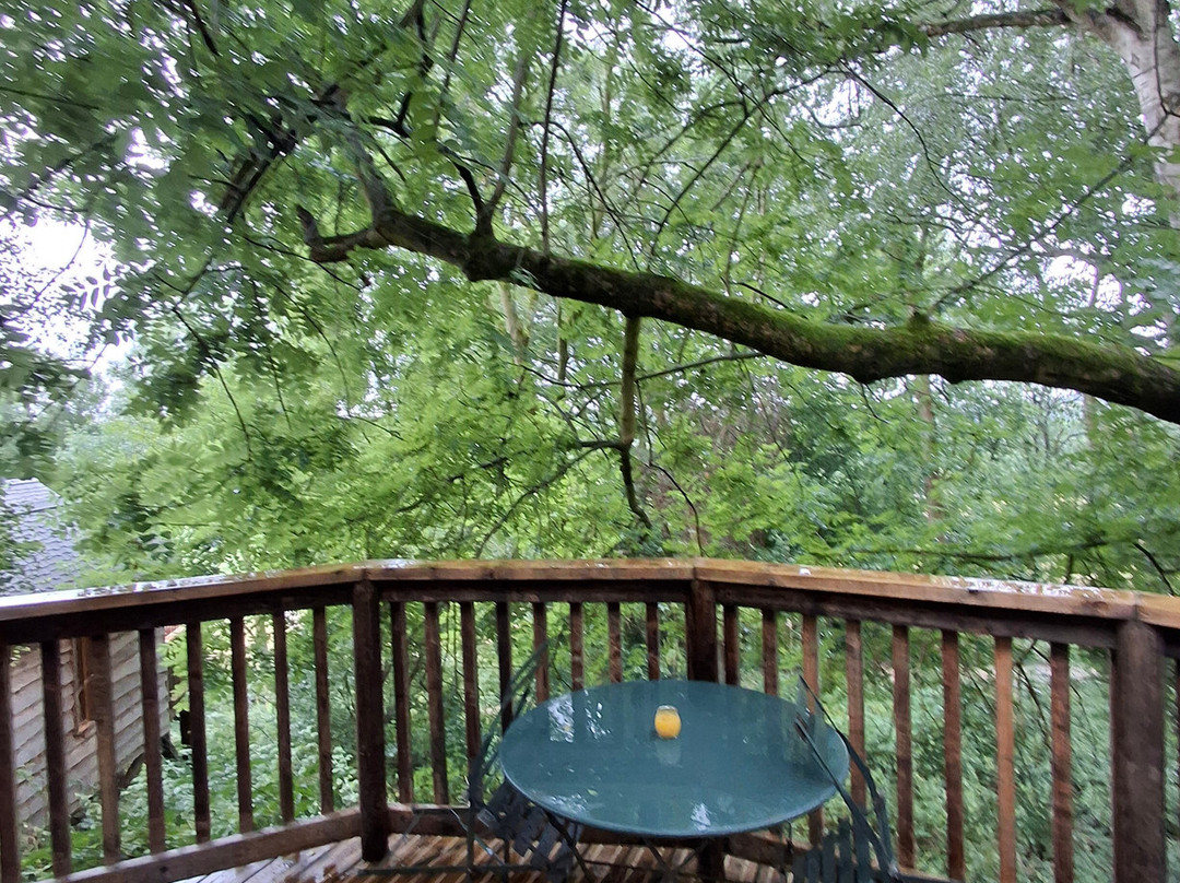 Wildhive Callow Hall主图