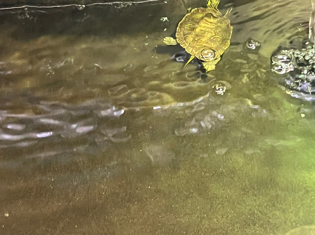 Greater Vancouver Zoo-Aldergrove必去景点