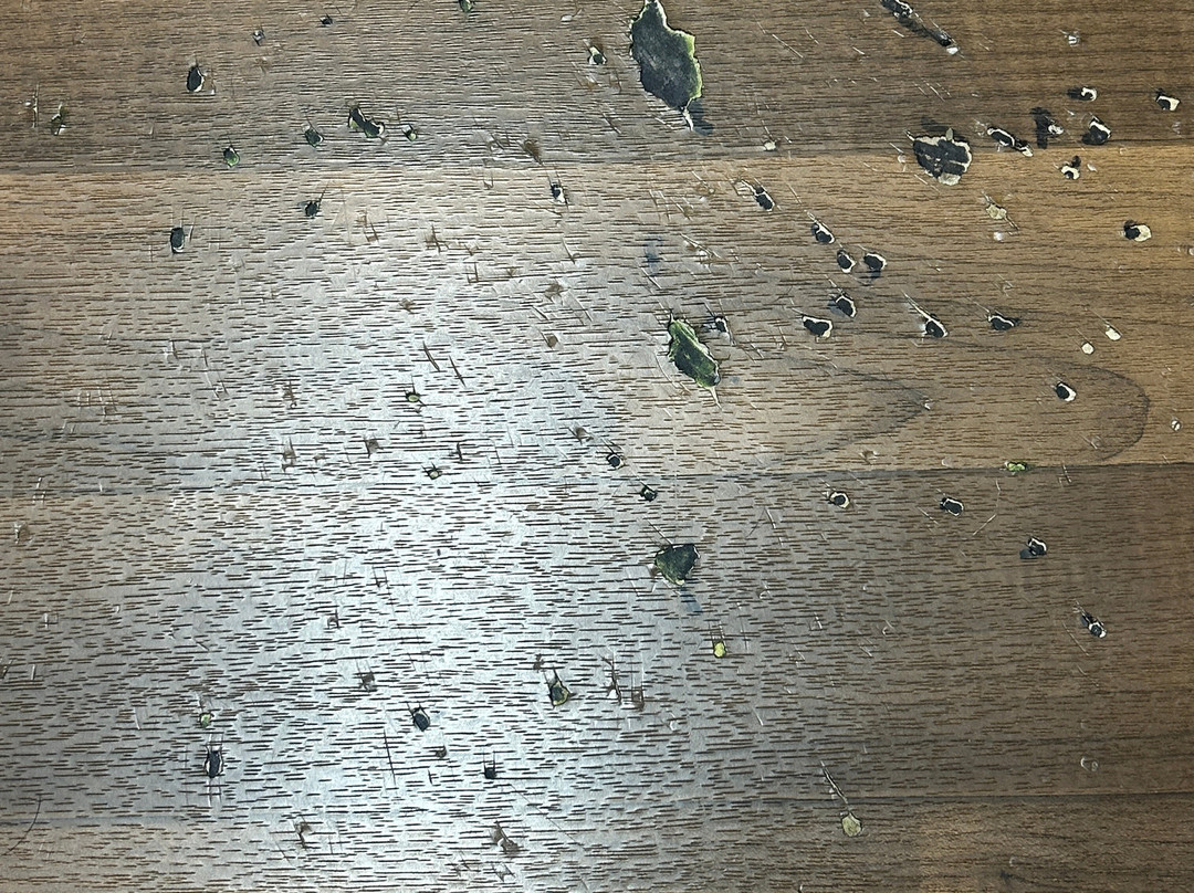 Extended Stay America Select Suites - Chicago - Downers Grove主图