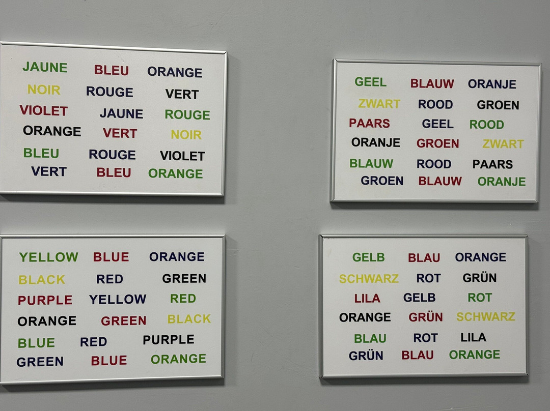 Museum Of Illusions Maastricht-马斯特里赫特必去景点