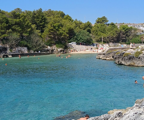 B&B Il Corbezzolo主图