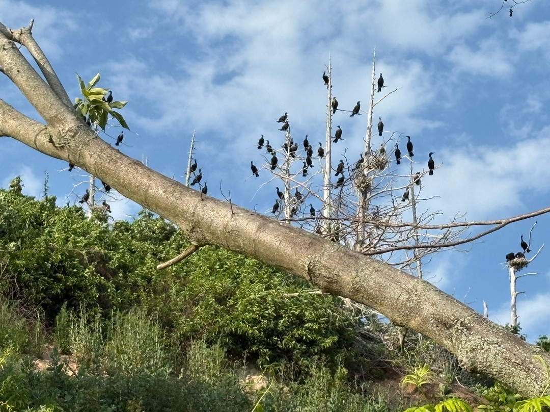 Manitou Island Transit-Leland必去景点
