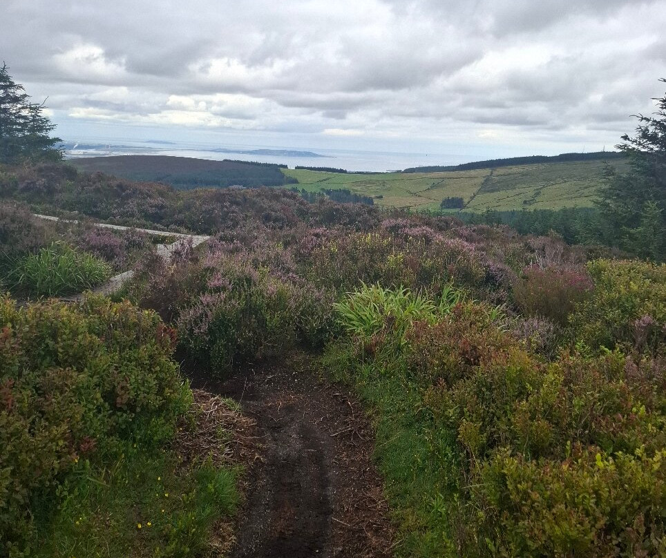 Dublin Mountains Way-塔拉必去景点