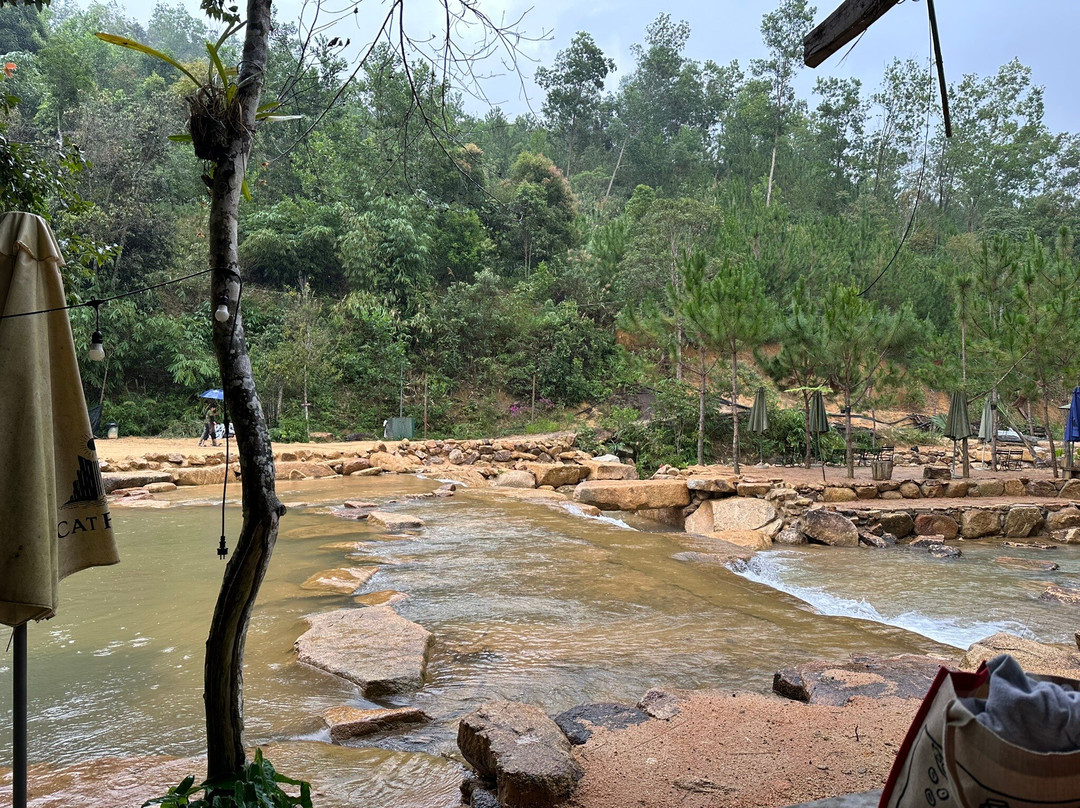 Cat Farm-保禄县必去景点