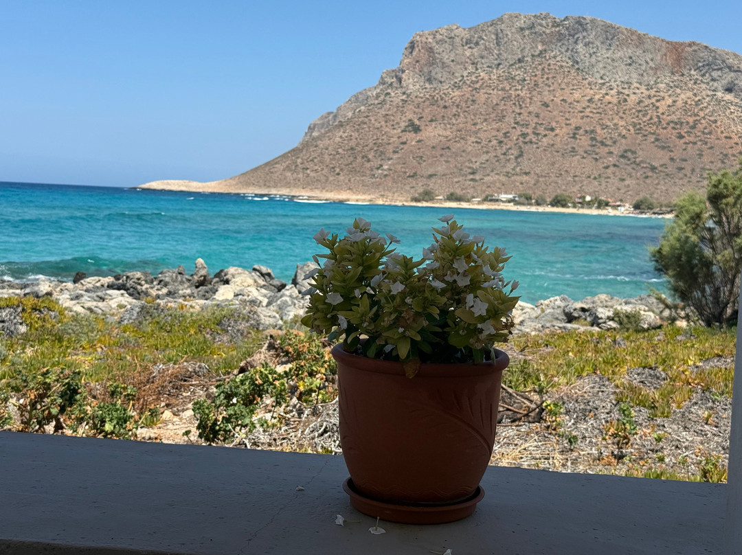 Blue Beach Villas Apartments主图