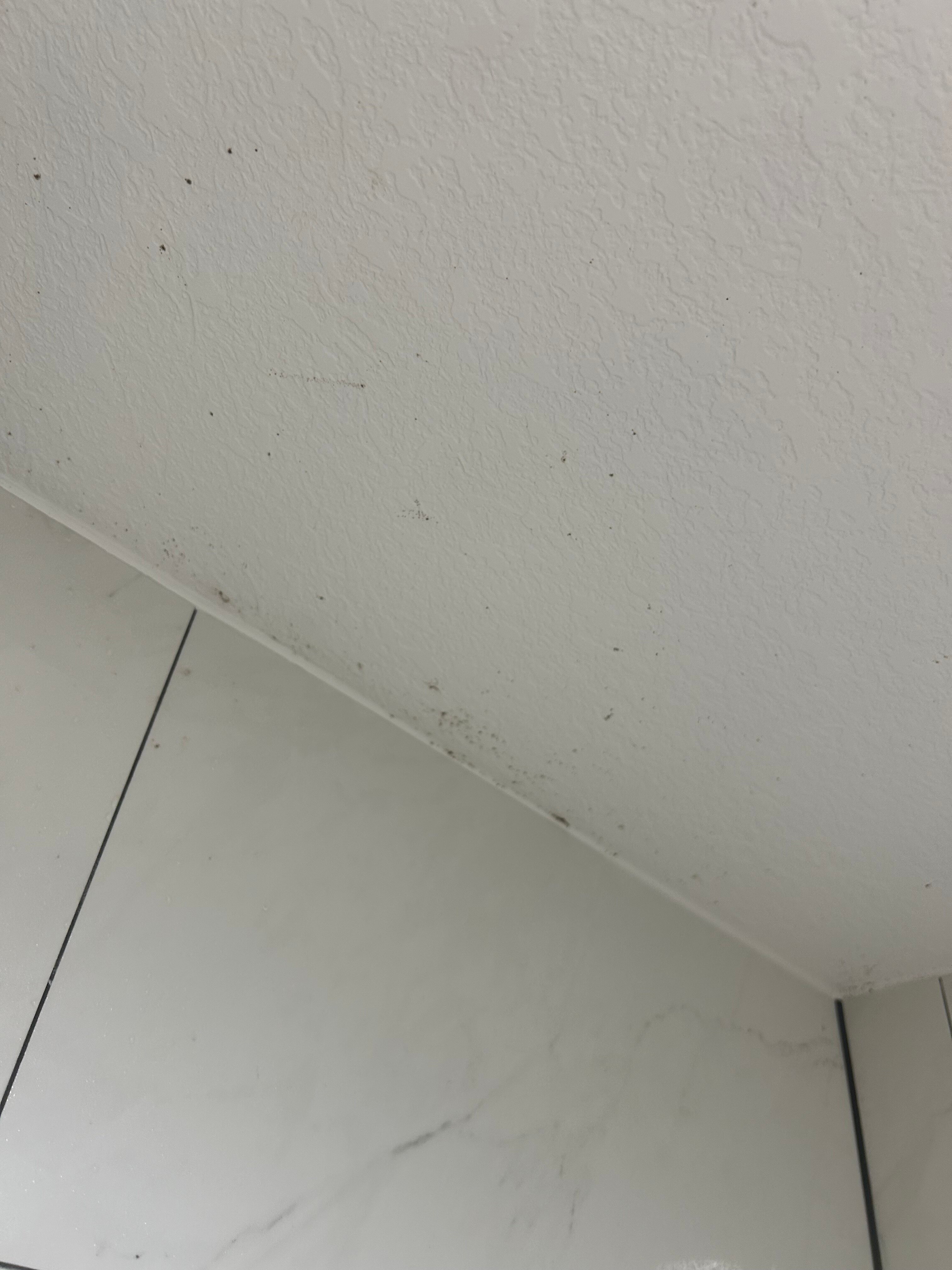 Super 8 by Wyndham Ruston-浴室