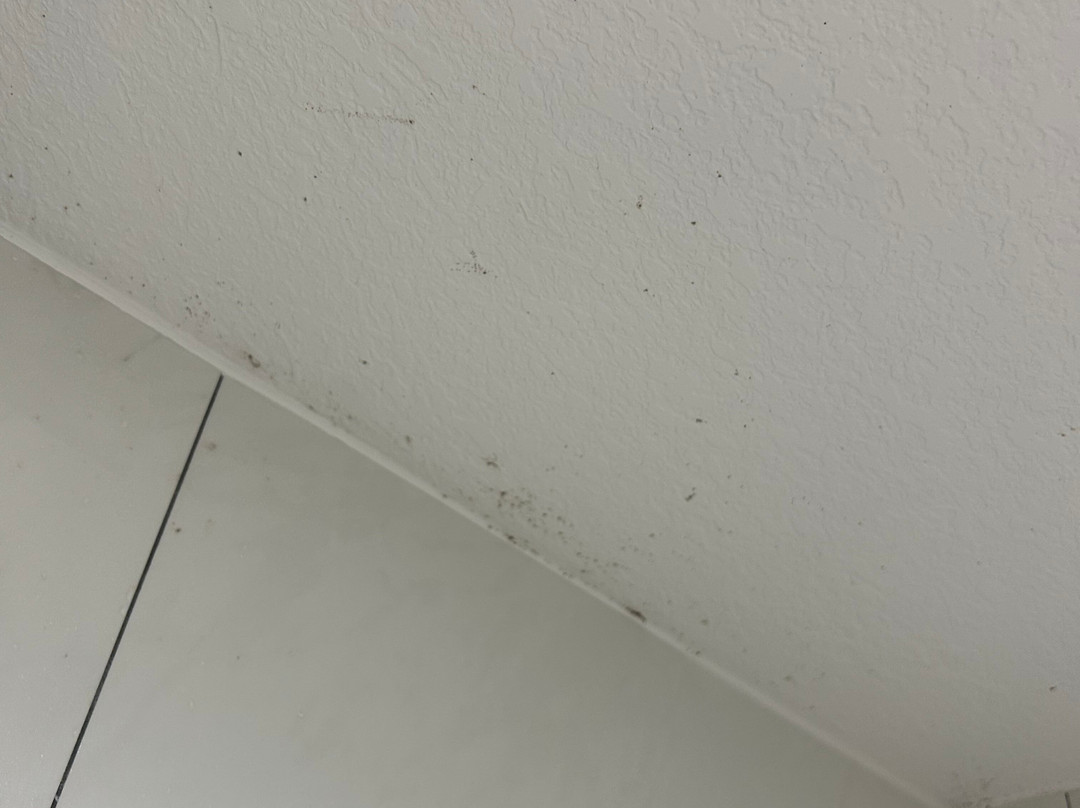 Super 8 by Wyndham Ruston主图