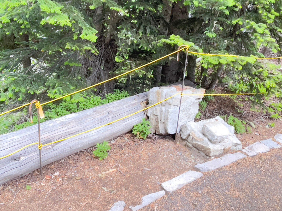 Nisqually Vista Loop-雷尼尔山国家公园必去景点