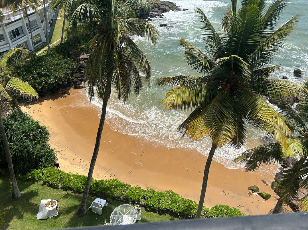 芒特拉维尼亚酒店主图