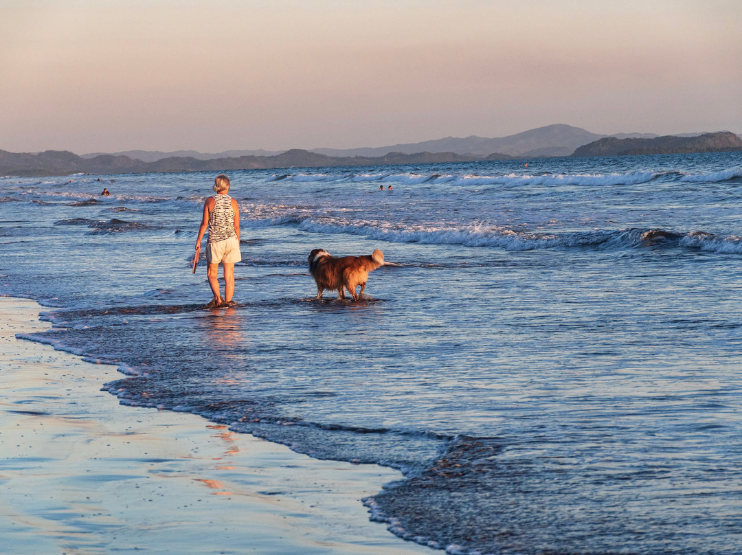 Naturalmente B&B Boutique Bungalows主图