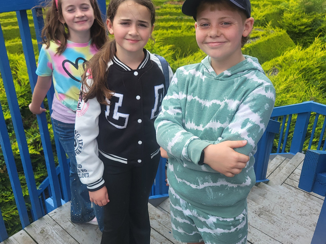 The Kildare Maze-Prosperous必去景点