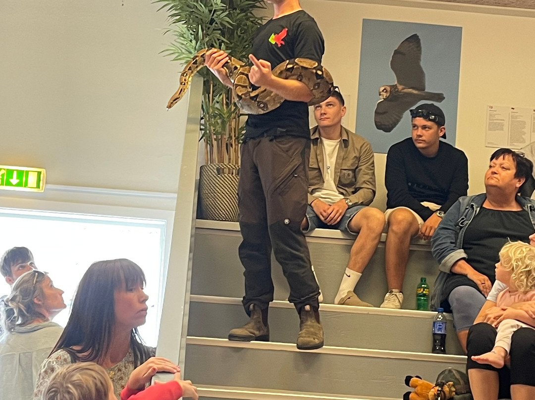 Bornholms Rovfugleshow-罗纳必去景点