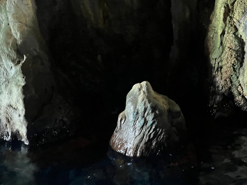 Tour In Barca Da Alessandro-Palinuro必去景点