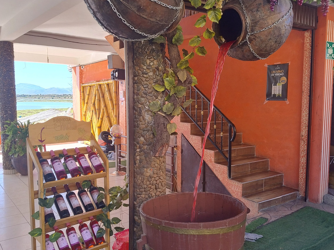 Lago San Jacinto-塔里哈必去景点