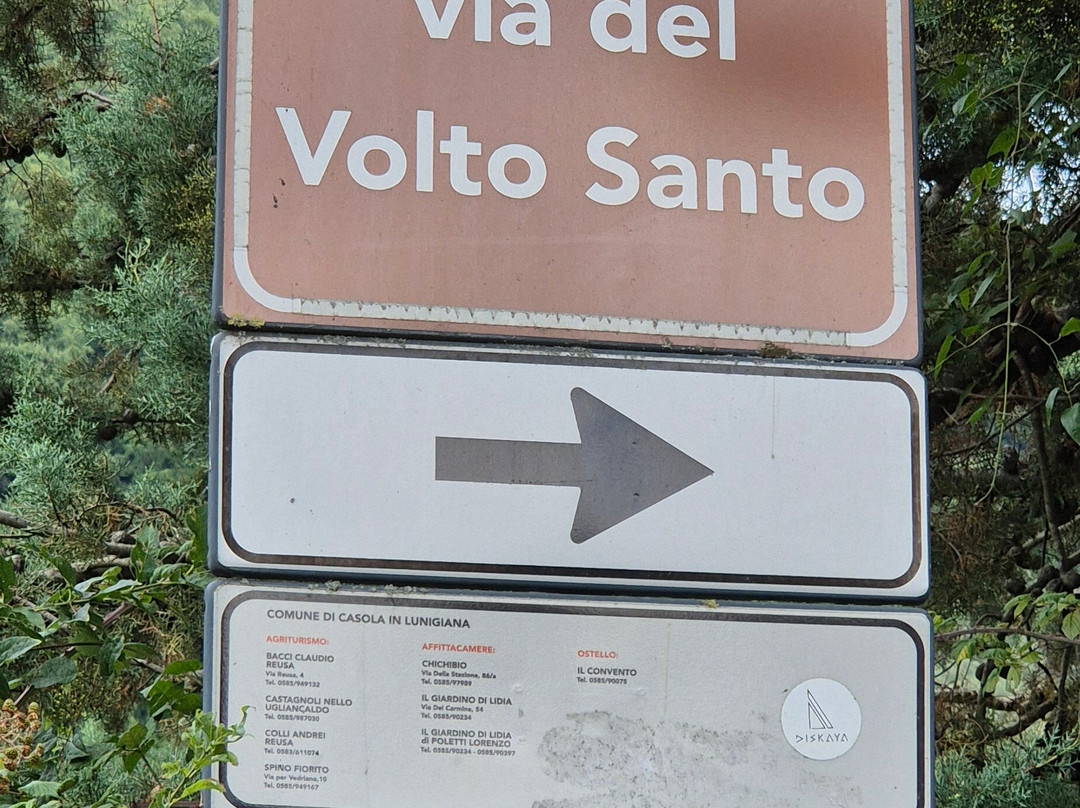 Agriturismo Lo Spino Fiorito主图