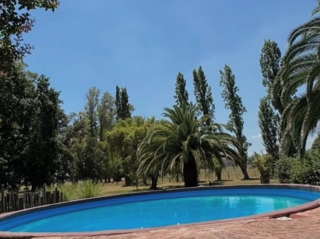 Palo Alto Polo Club-General Rodriguez必去景点