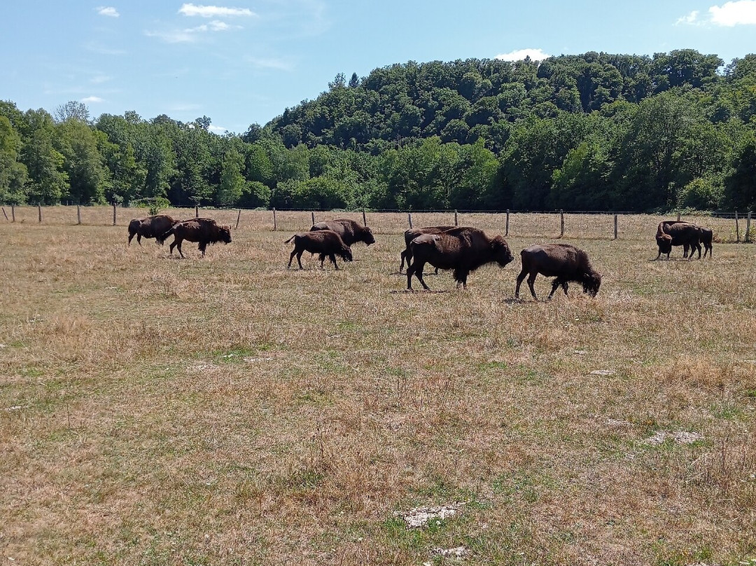 Elevage du Palais-Bourganeuf必去景点