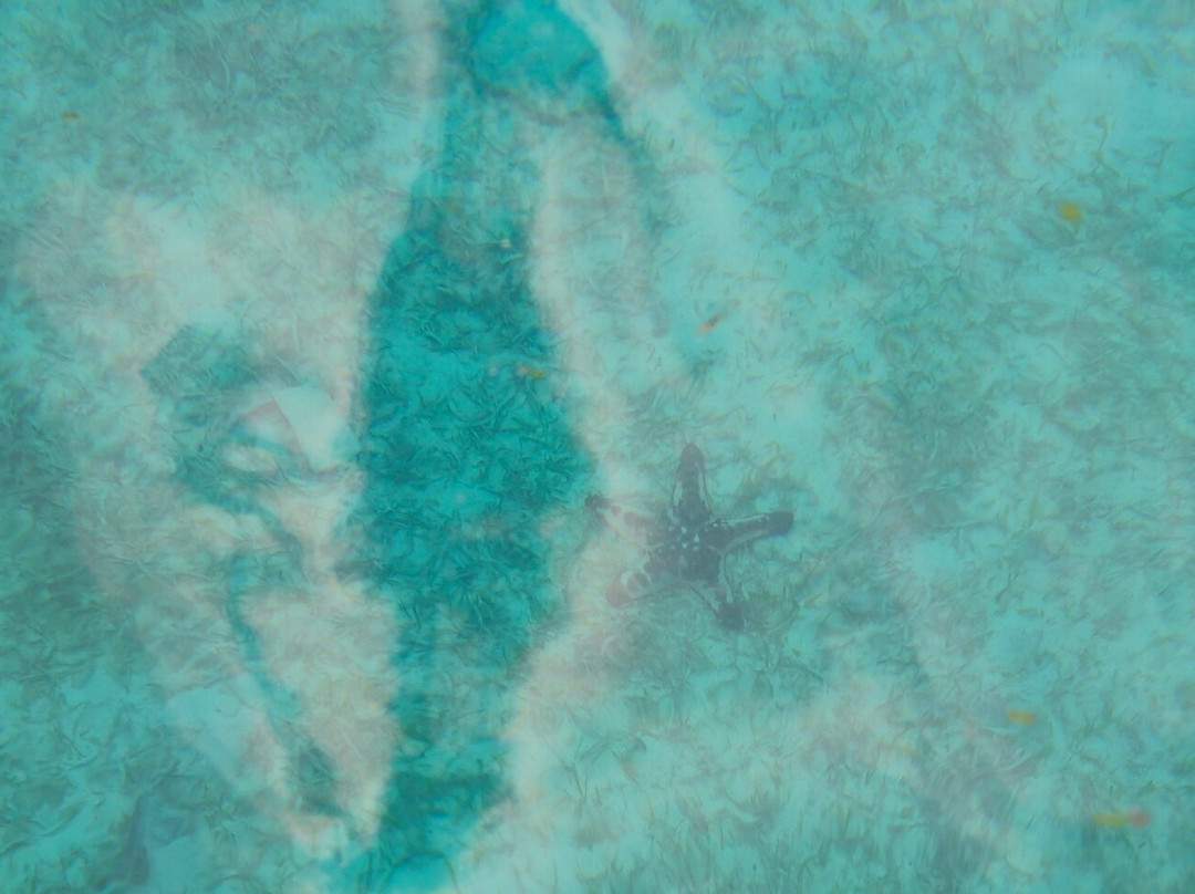 Liang Beach-安汶必去景点