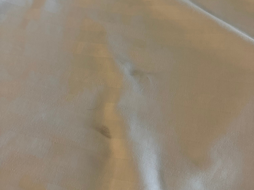 Sonesta ES Suites Chicago - Schaumburg主图