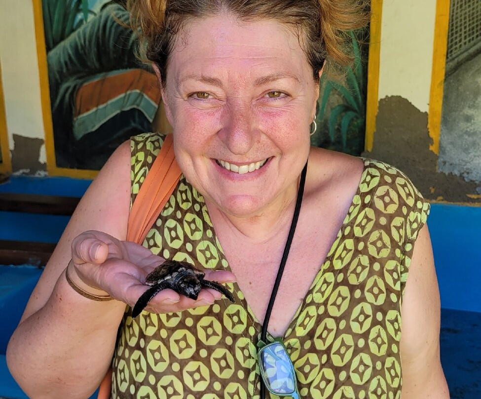 The Turtle Project-佩母德兰必去景点