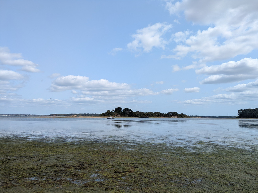 RSPB Arne-Arne必去景点