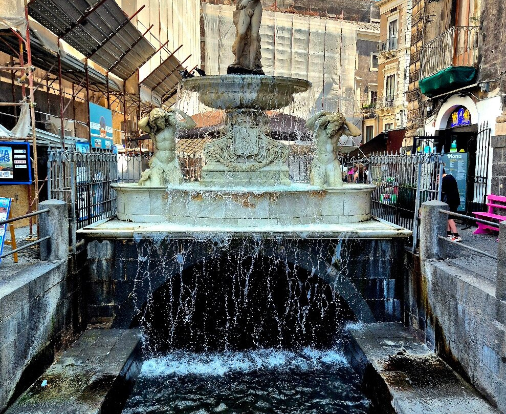 Fontana dell'Amenano-卡塔尼亚必去景点