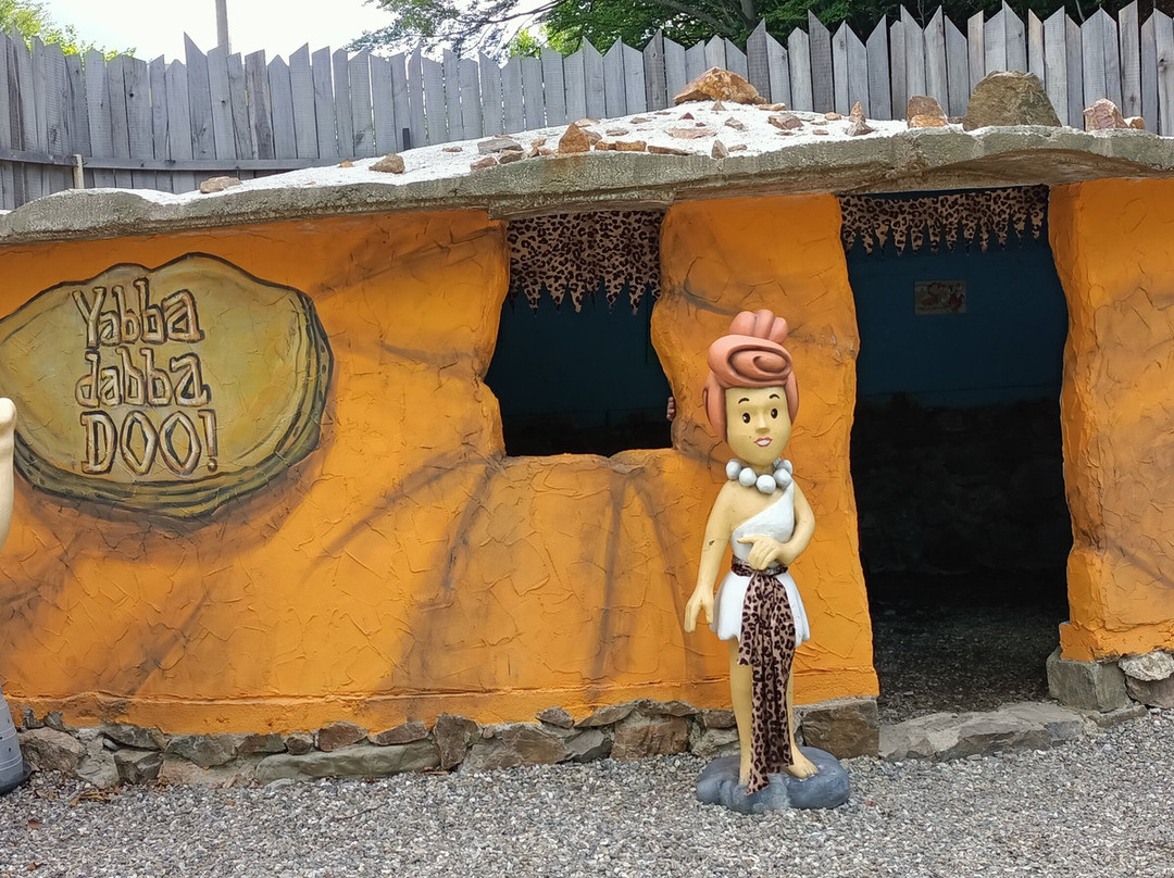 Pensiunea Bucura主图