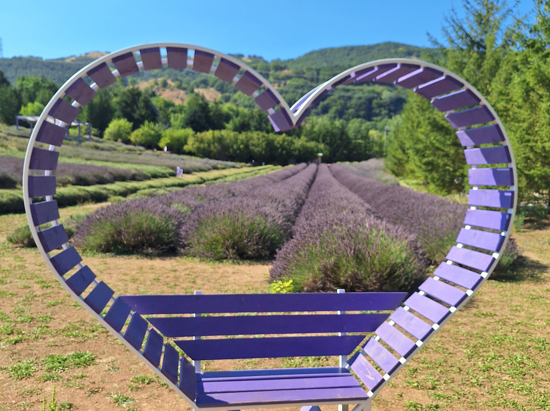 Parco Della Lavanda-Campotenese必去景点