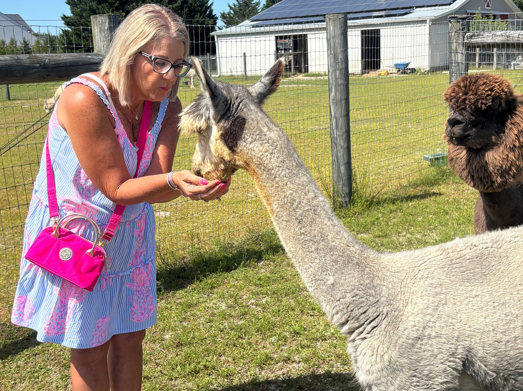 Silver Fox Farm Alpacas-Egg Harbor City必去景点