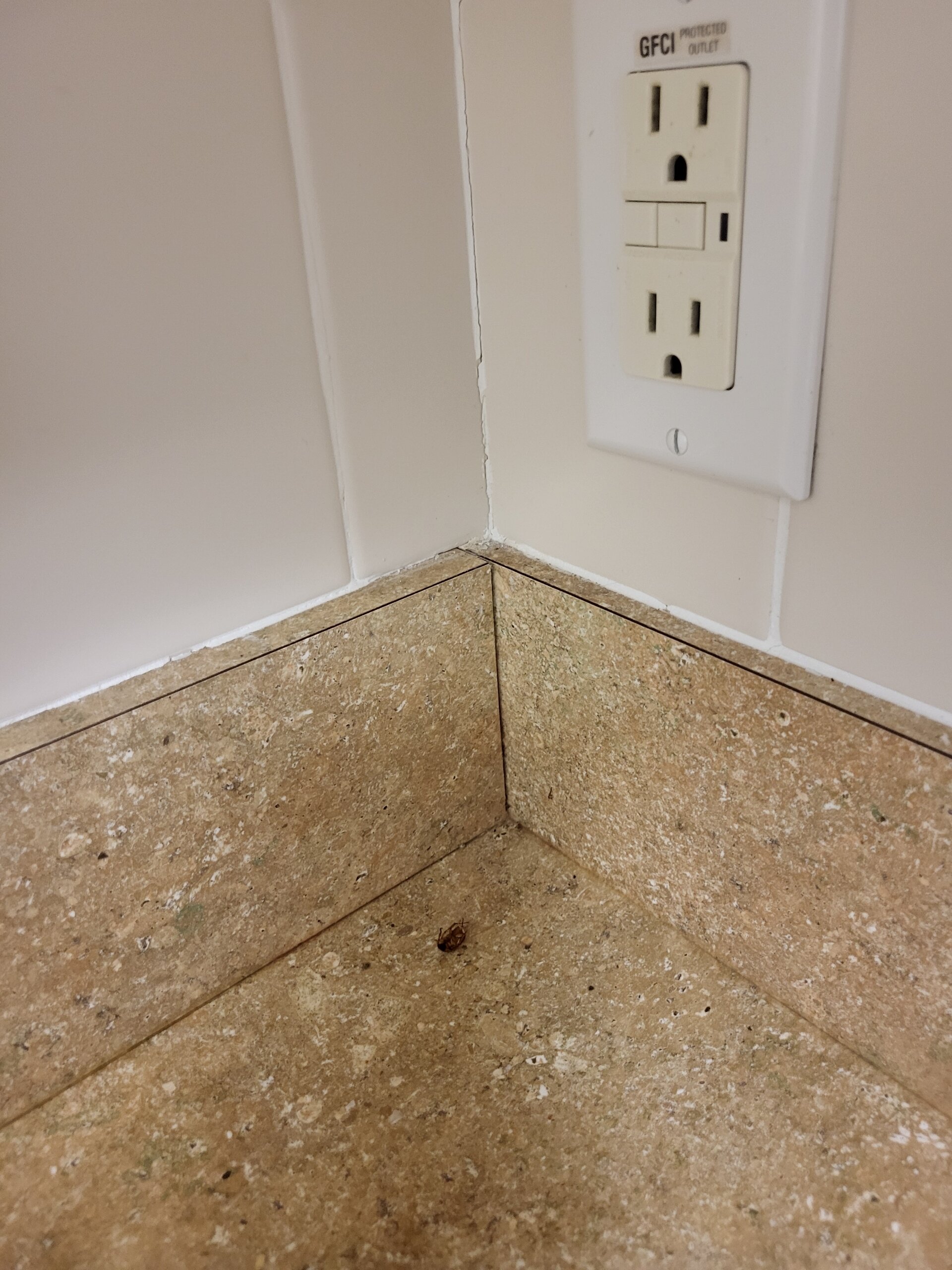 Shore Stay Suites-官方