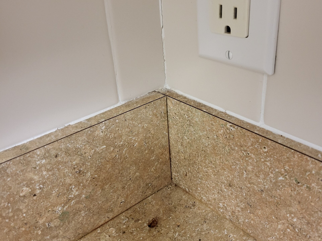 Shore Stay Suites主图