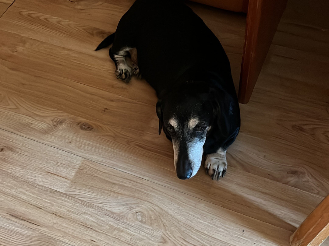 Hotel Gran Baita主图