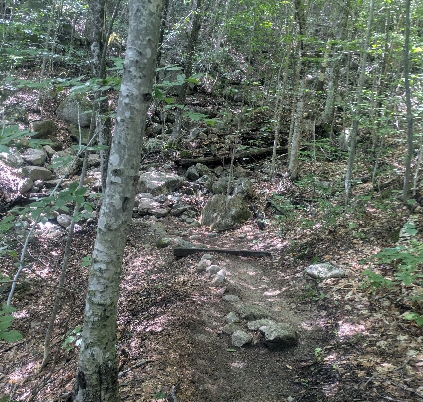 Champney Falls Trail-北康威必去景点