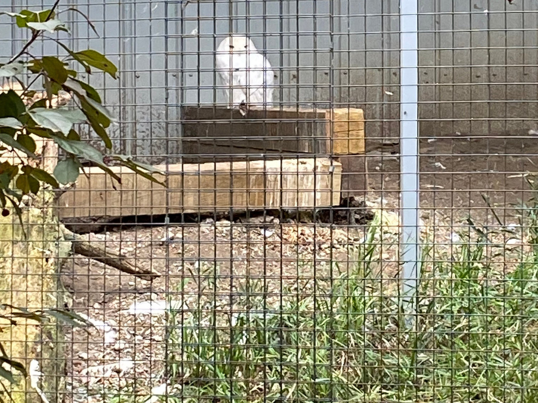 Alberta Birds of Prey Visitor's Centre-Coaldale必去景点